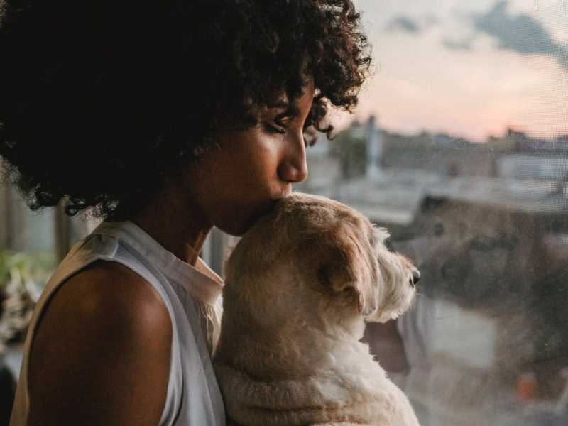 Narayani Media Events